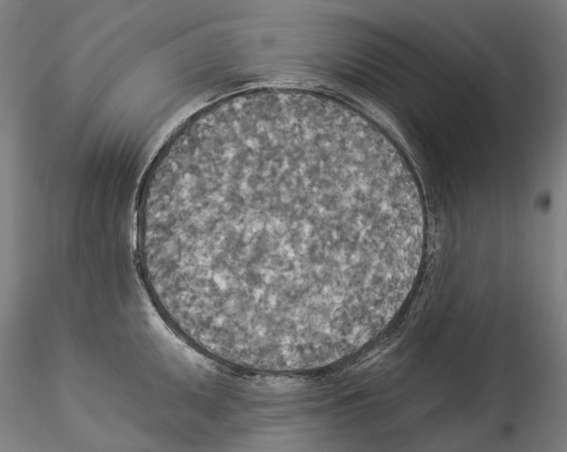 X0000114551095200911301219