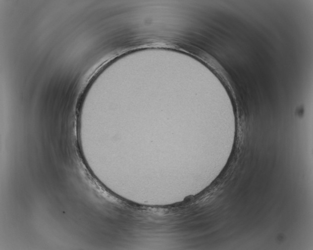 X0000114551096200911301219