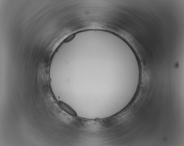 X0000114551097200911301219