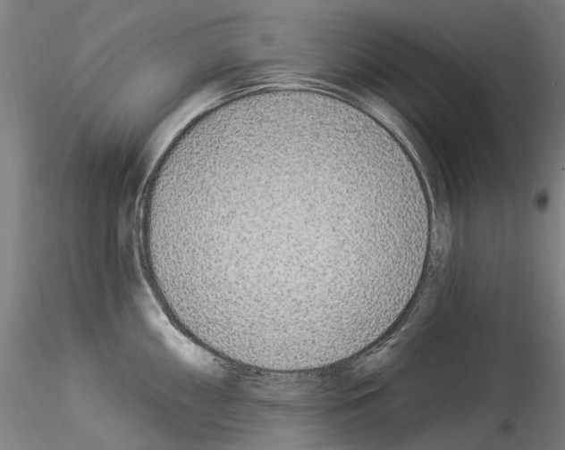X0000114551098200911301219