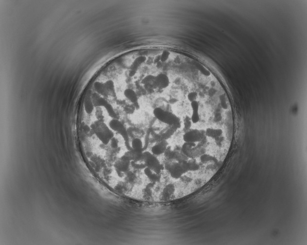 X0000114551099200911301219
