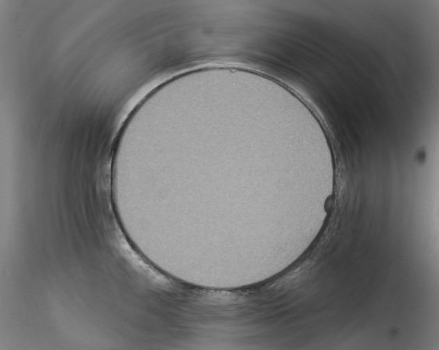 X0000114551100200911301219