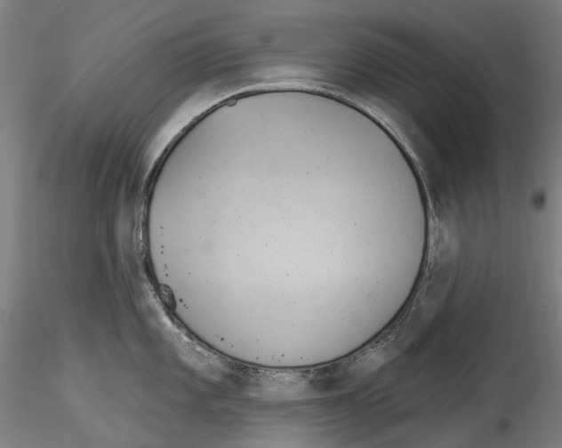 X0000114551101200911301219