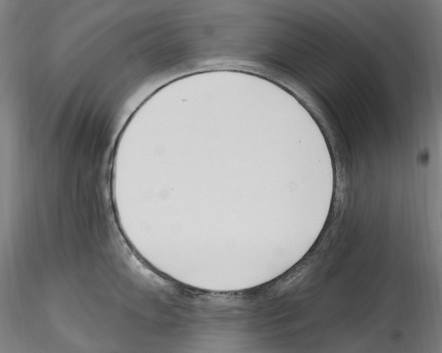 X0000114551102200911301219