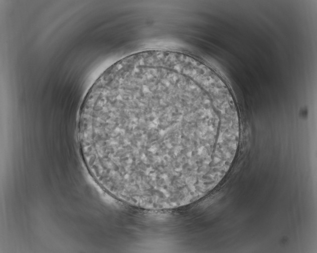 X0000114551103200911301219
