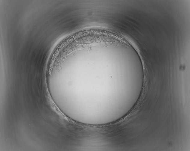 X0000114551104200911301219