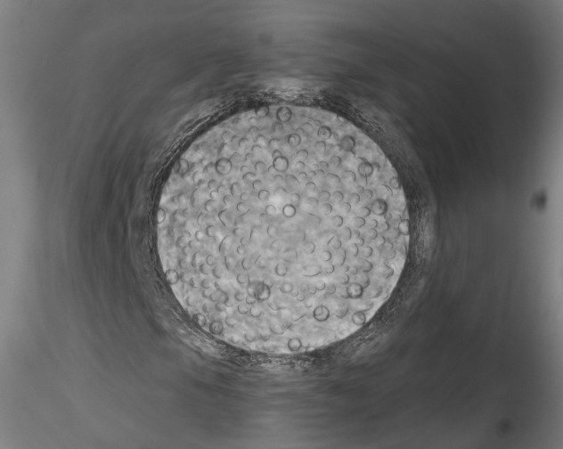 X0000114551105200911301218