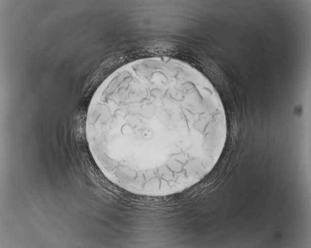 X0000114551106200911301218