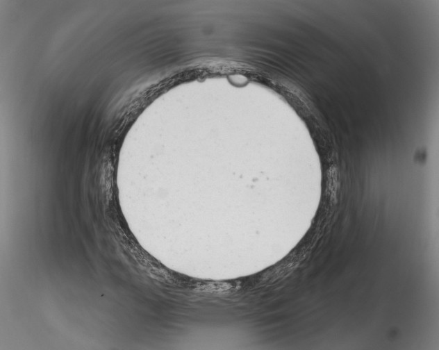 X0000114551111200911301218