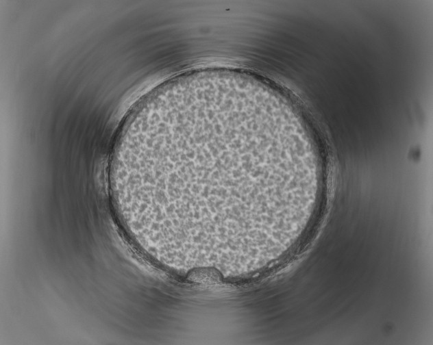 X0000114551113200911301218