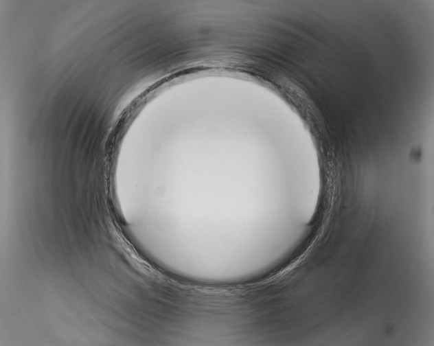 X0000114551114200911301218