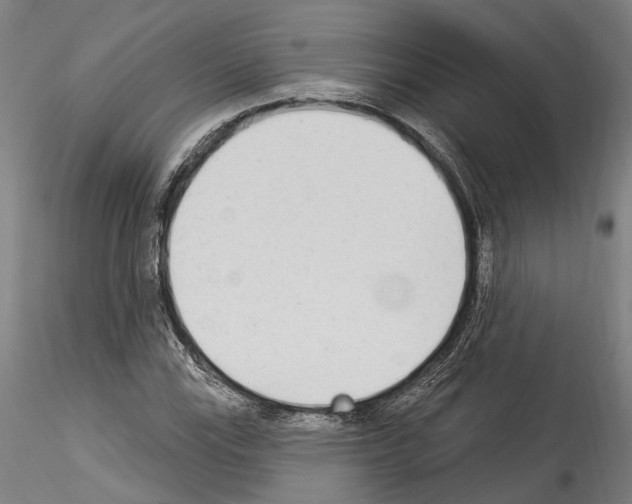 X0000114551115200911301218