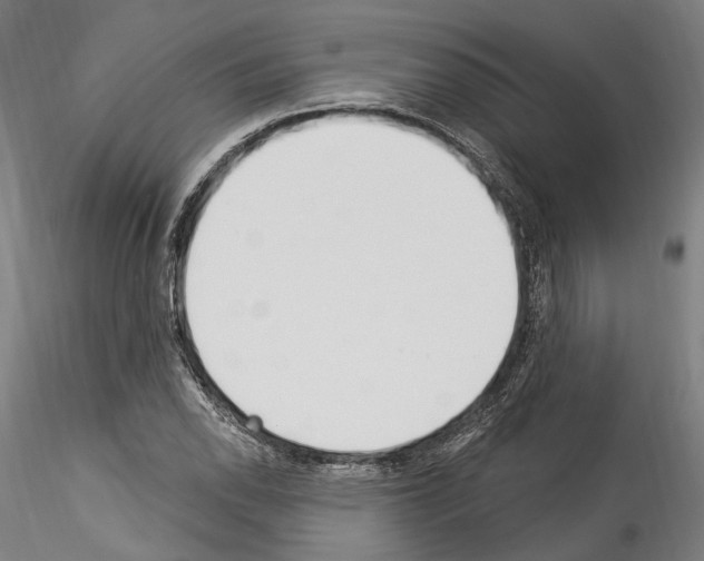 X0000114551118200911301218