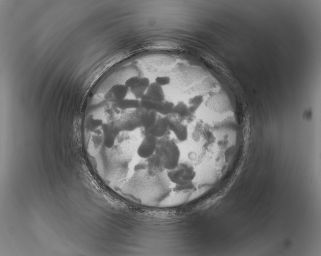 X0000114551121200911301218