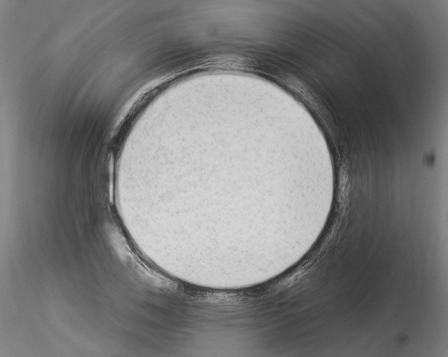 X0000114551123200911301219