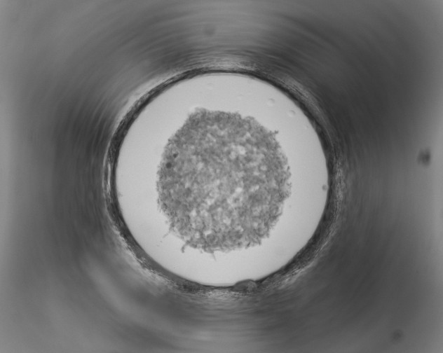 X0000114551125200911301219