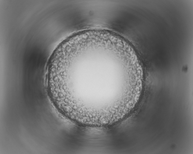 X0000114551126200911301219
