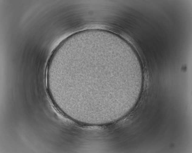X0000114551127200911301219