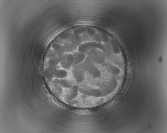 X0000114551129200911301219