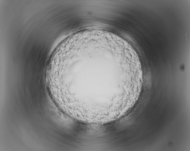 X0000114551130200911301219