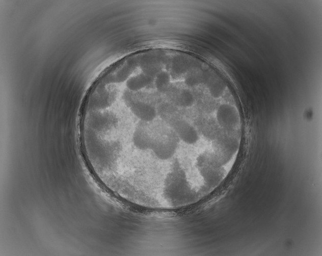 X0000114551133200911301219