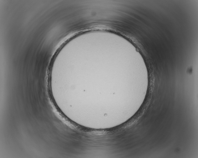 X0000114551134200911301219