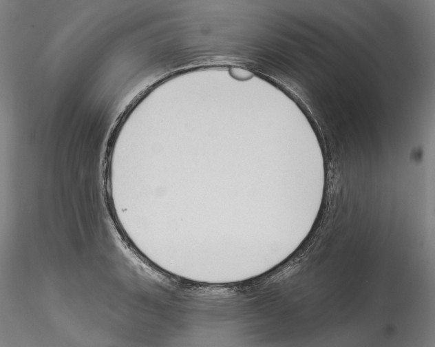X0000114551135200911301219