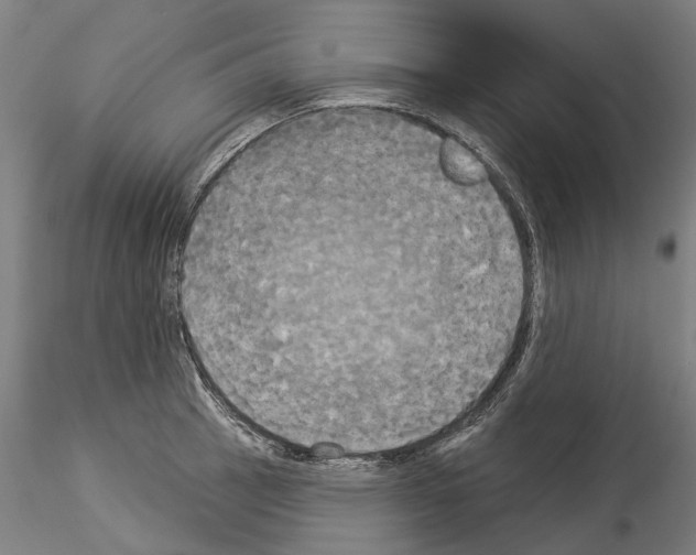 X0000114551137200911301219