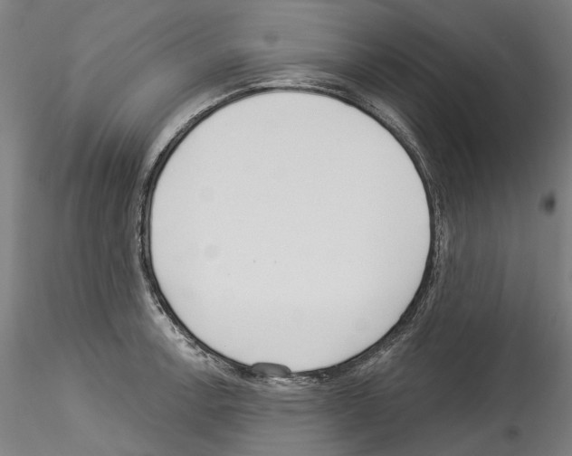 X0000114551138200911301219
