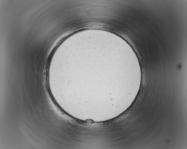 X0000114551139200911301219
