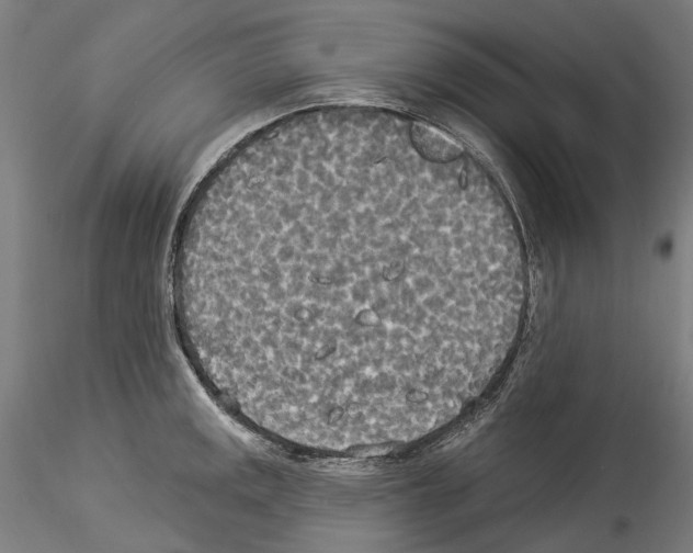 X0000114551141200911301219