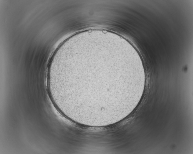 X0000114551143200911301219