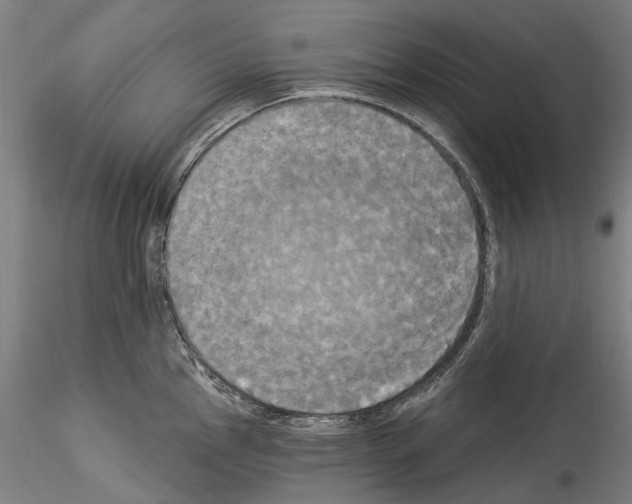 X0000114551145200911301219