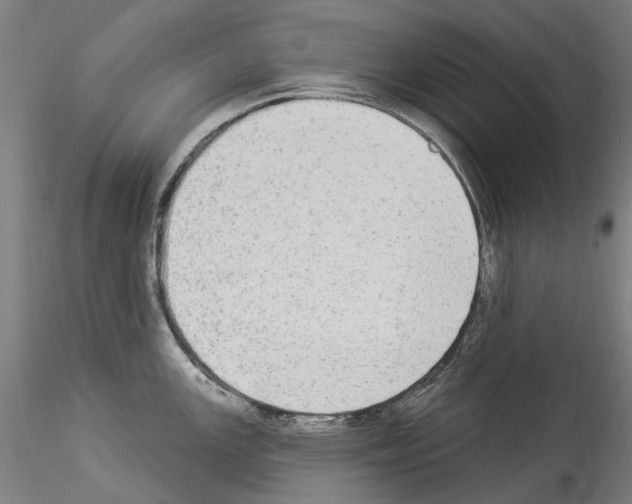X0000114551147200911301219