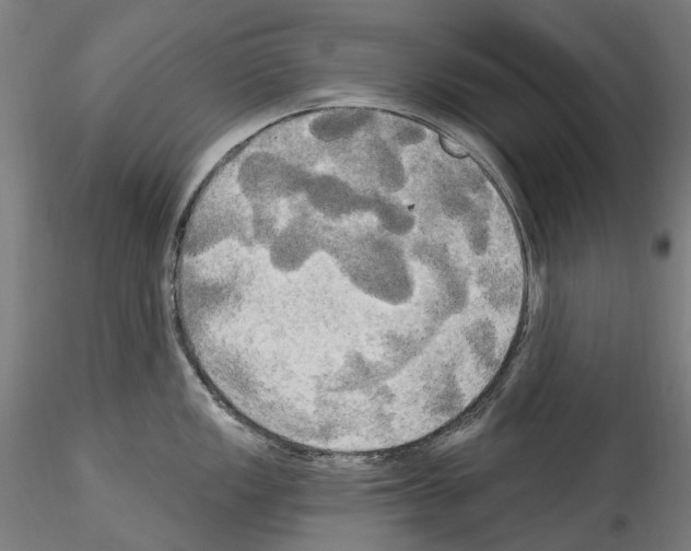 X0000114551149200911301219