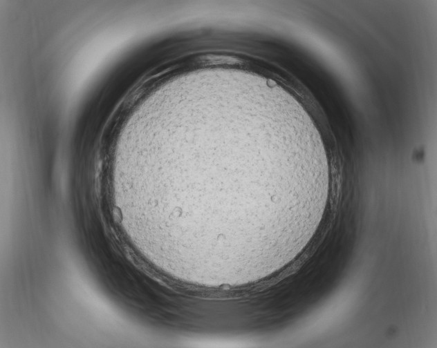 X0000114551151200911301219