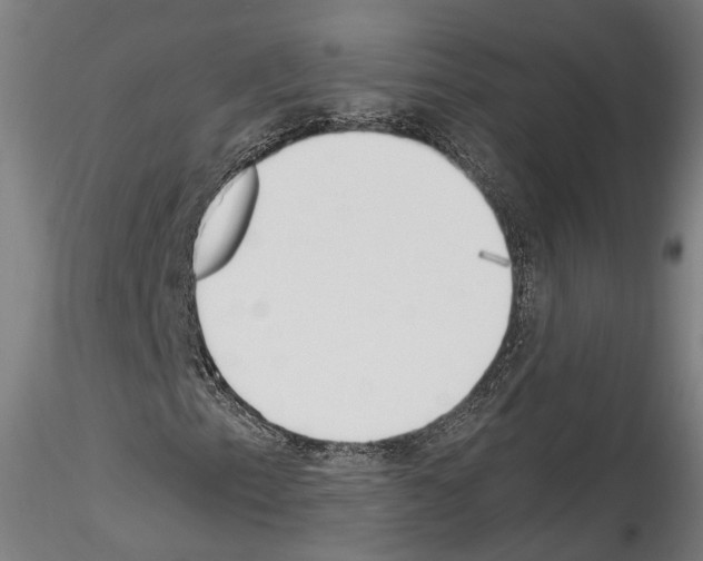 X0000114551153200911301218