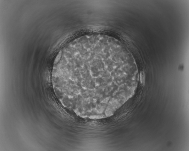 X0000114551155200911301218