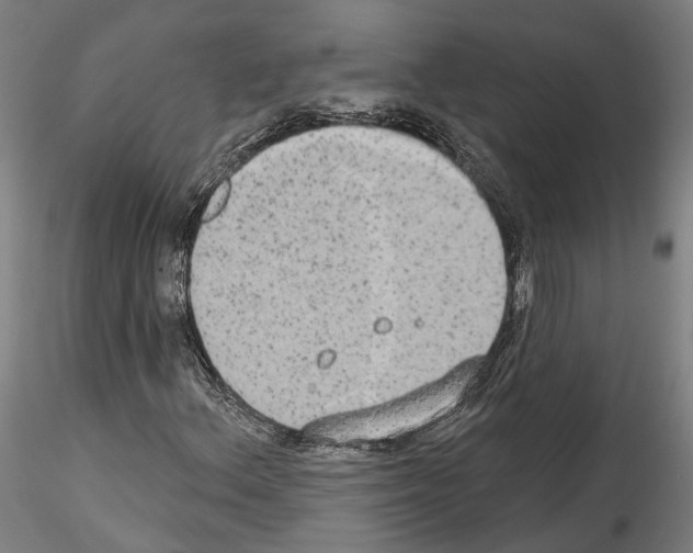 X0000114551156200911301218