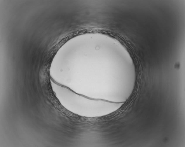 X0000114551157200911301218