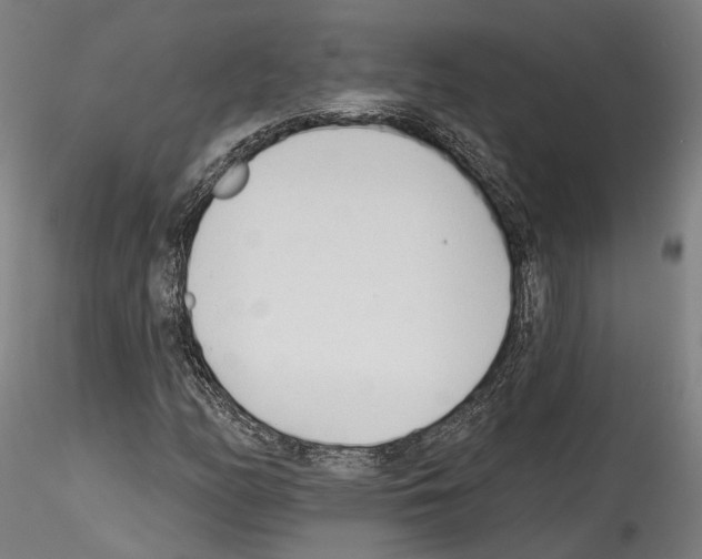 X0000114551158200911301218