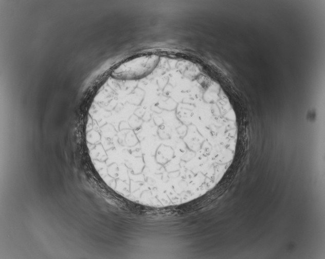 X0000114551159200911301218
