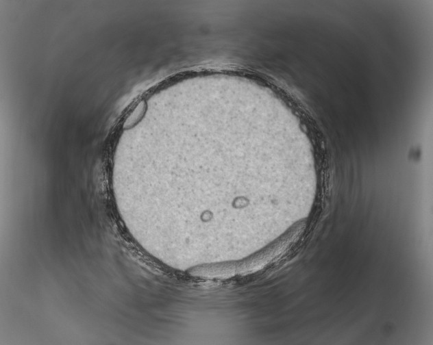 X0000114551160200911301218