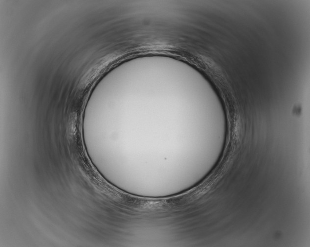 X0000114551161200911301218