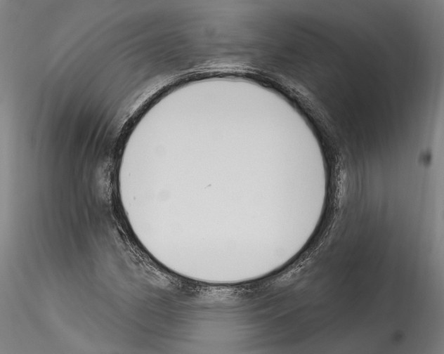 X0000114551162200911301218