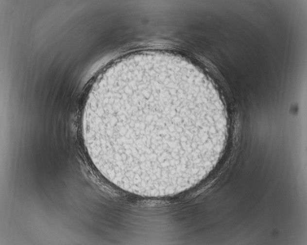 X0000114551163200911301218