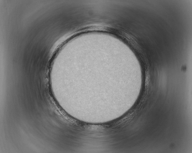 X0000114551164200911301218