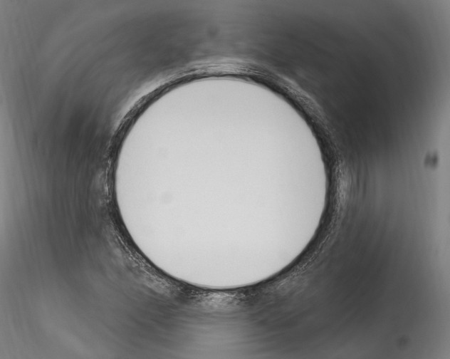 X0000114551166200911301218