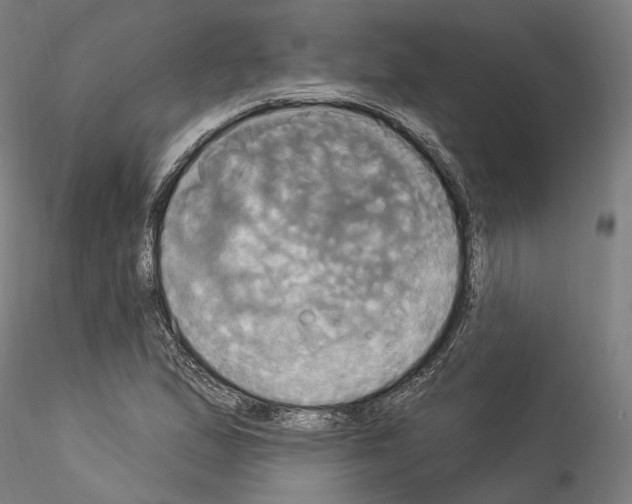 X0000114551167200911301218