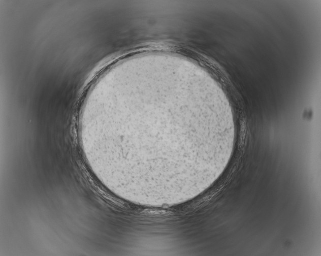 X0000114551168200911301218